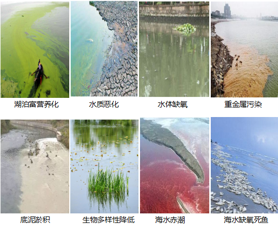 華藻類藍藻防控專家系統(tǒng)