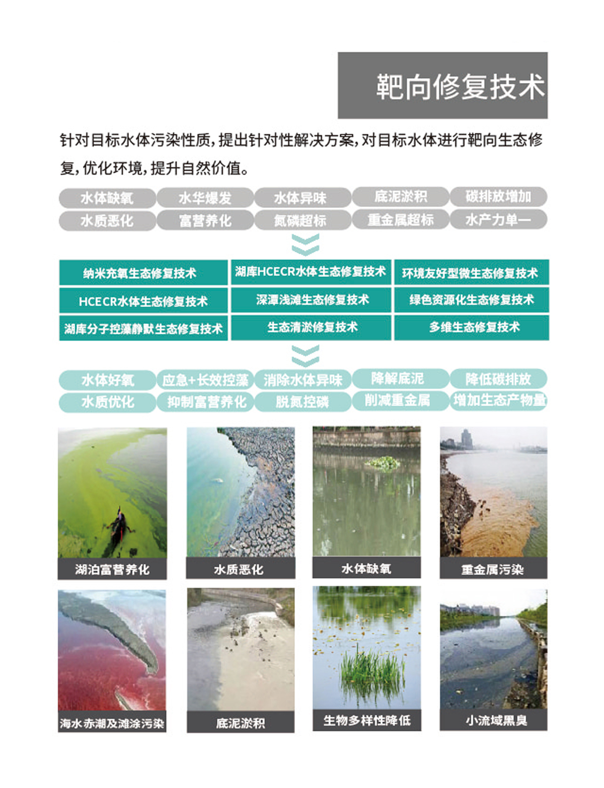 網站首頁2=568.jpg